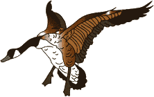 吃瓜表情包gif可爱动态